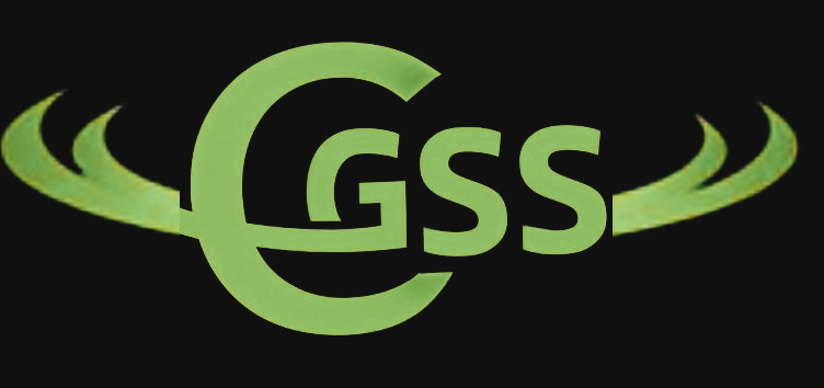 Galaxy Smart Solutions FZE